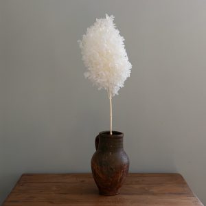 Konserverad hortensia, toppig - porcelain white