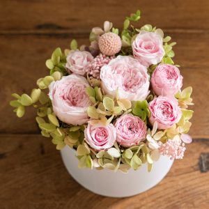 Bloom - blombox